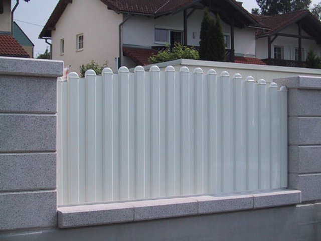 photo19.jpg