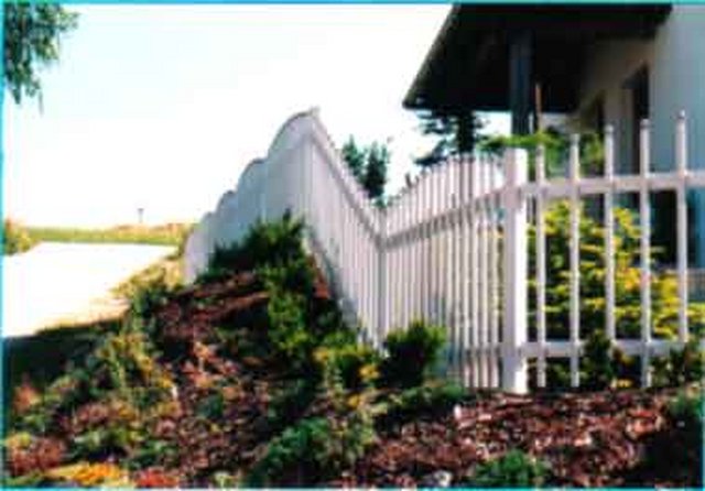 photo6.jpg